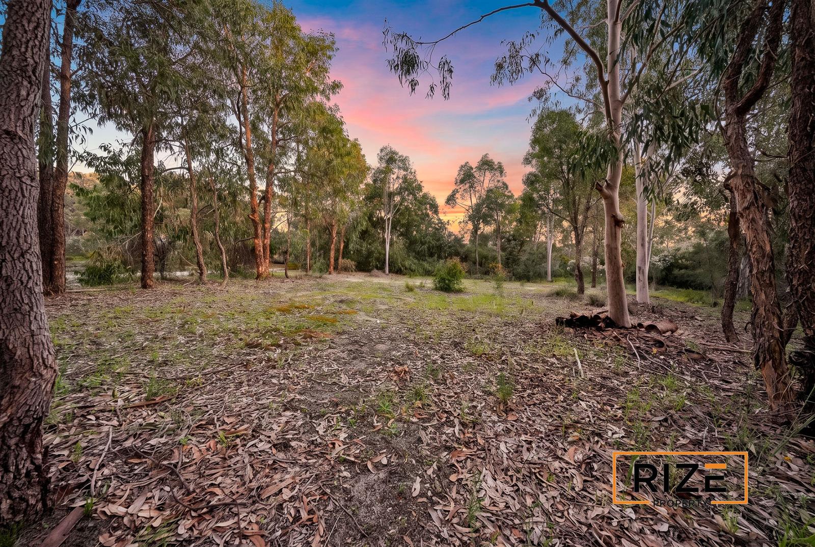 Semi-cleared area off the main driveway, separated by natural bush