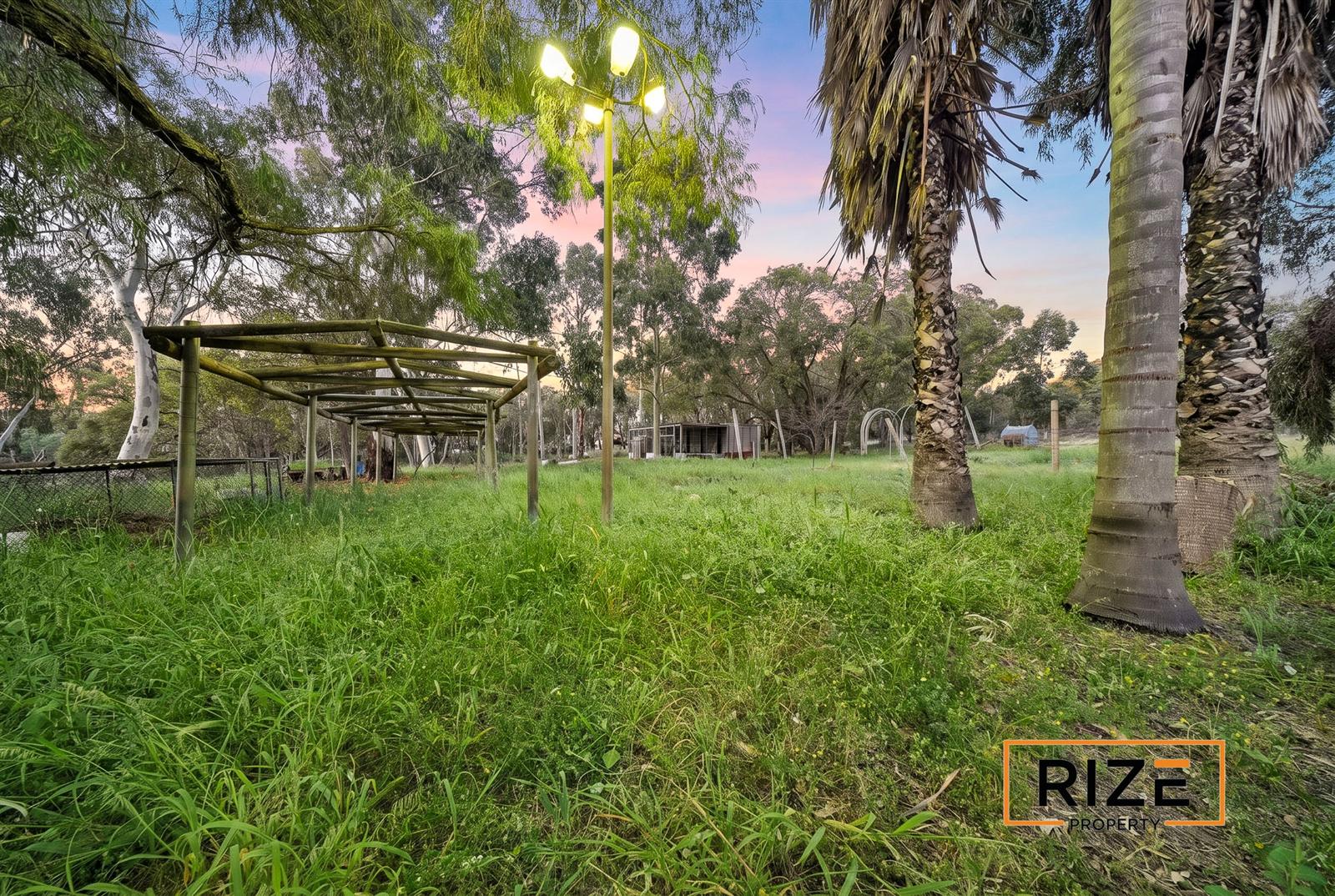 Trellis infrastructure and fenced paddock